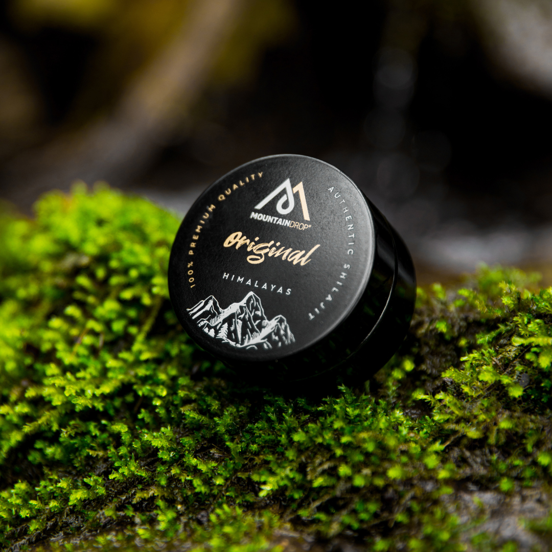 Original Shilajit Himalayas 45g
