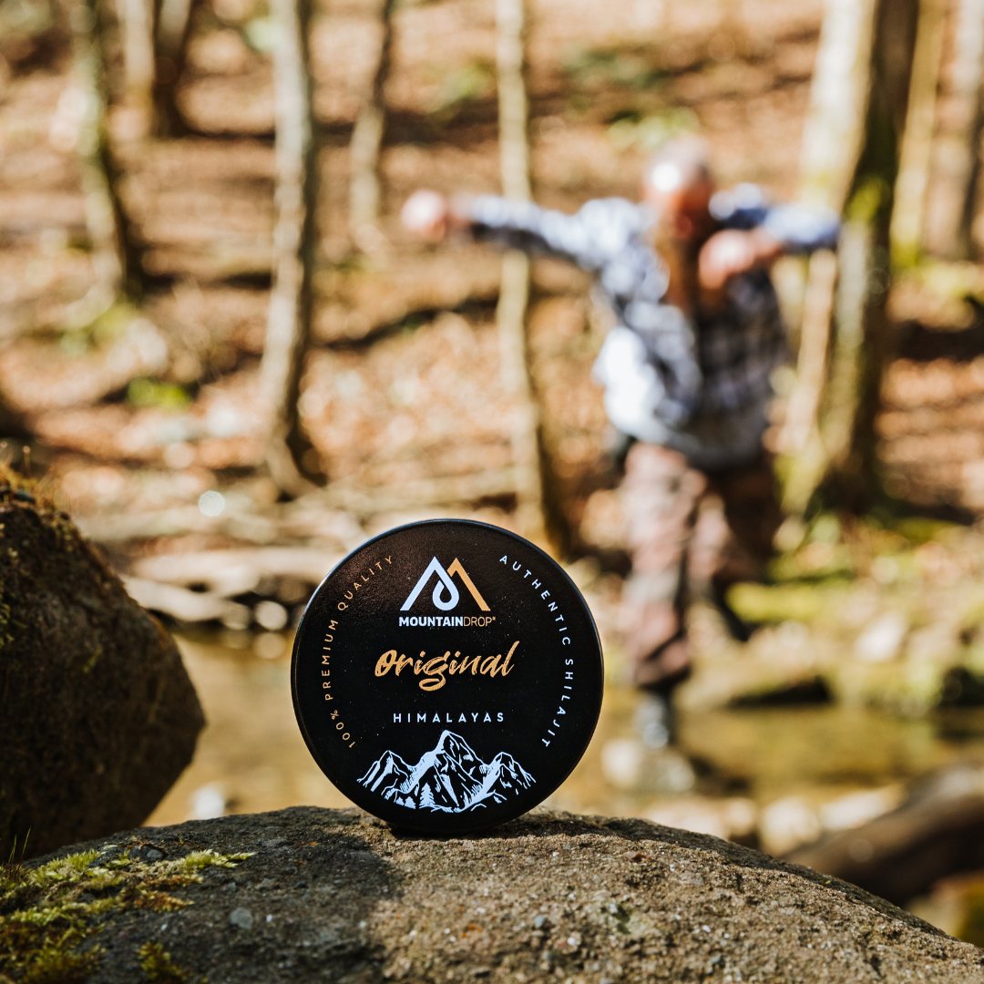 Original Shilajit Himalayas 45g