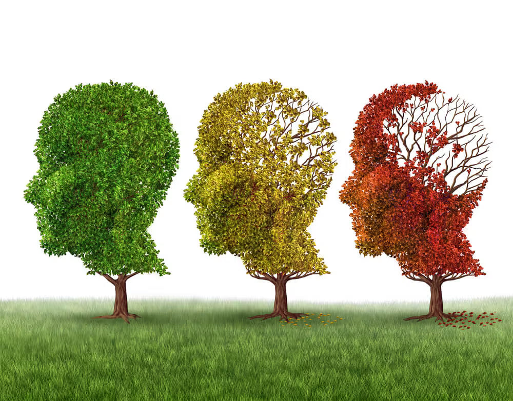 Shilajit und die Alzheimer-Krankheit: Ein natürlicher Ansatz zur Unterstützung der Gehirngesundheit